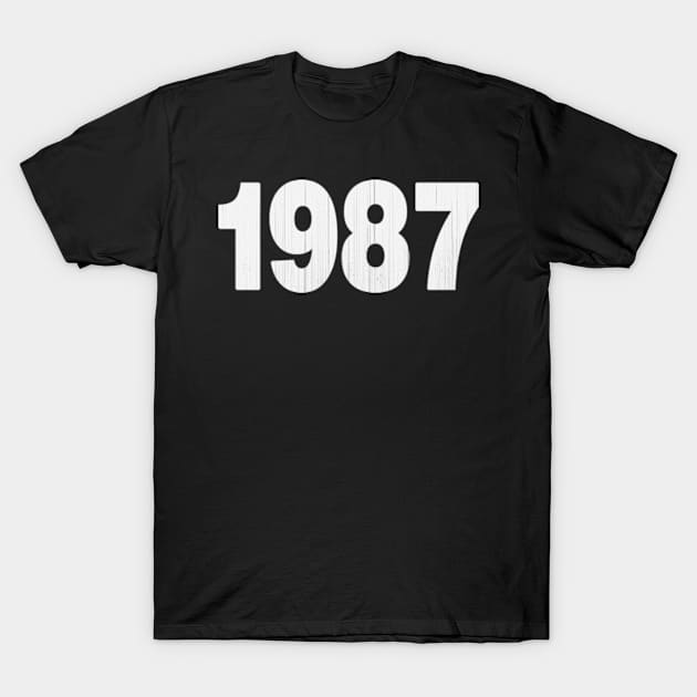 1987 Vintage T-Shirt by Origin.dsg